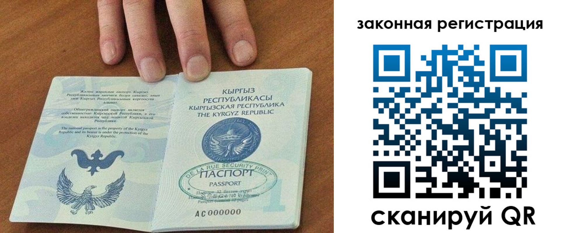 пропишу в квартире в Ленинградской области